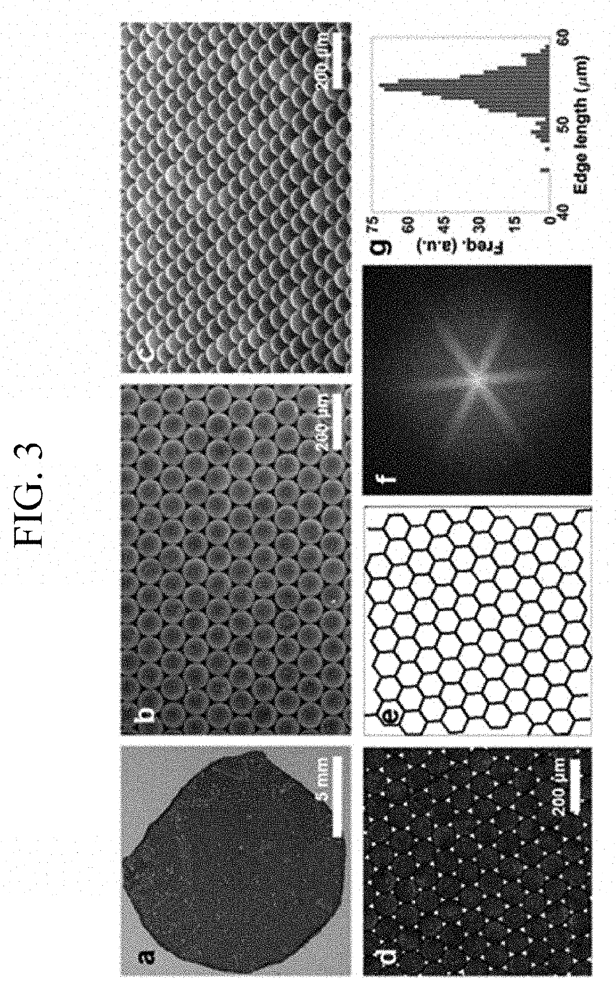 Microbubble integrated structure and method of manufacturing the same