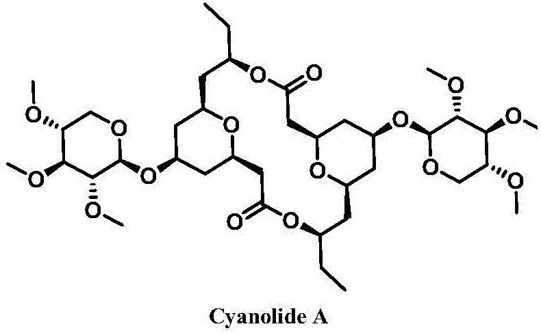 Novel method for synthesizing natural product Cyanolide A analogue
