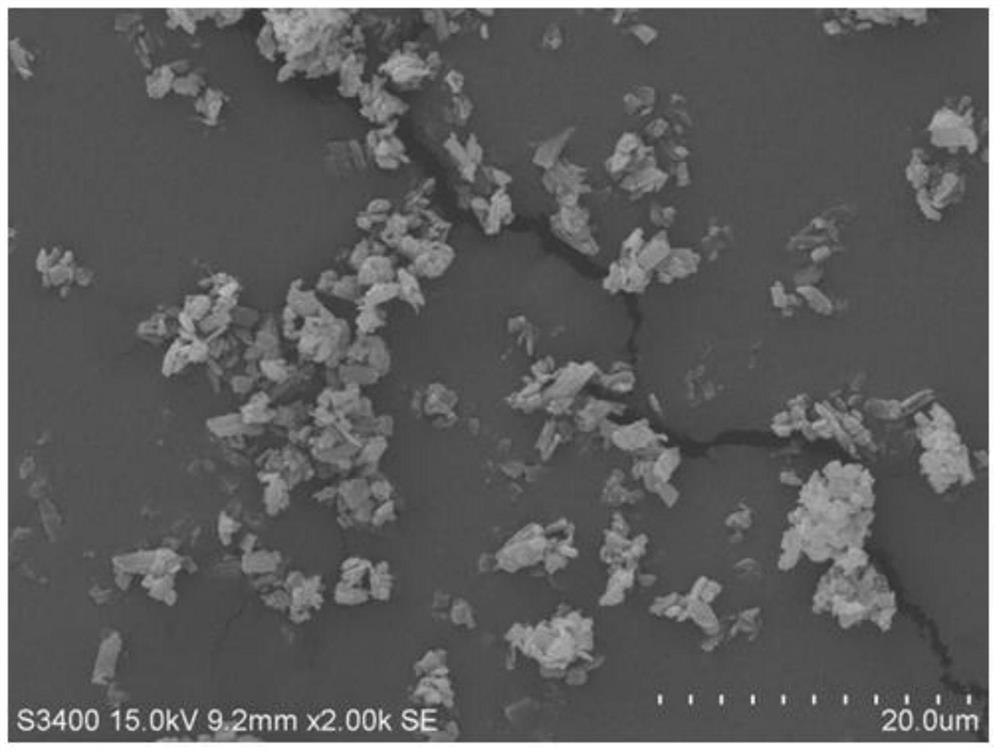 A kind of preparation method of gefitinib composite particle