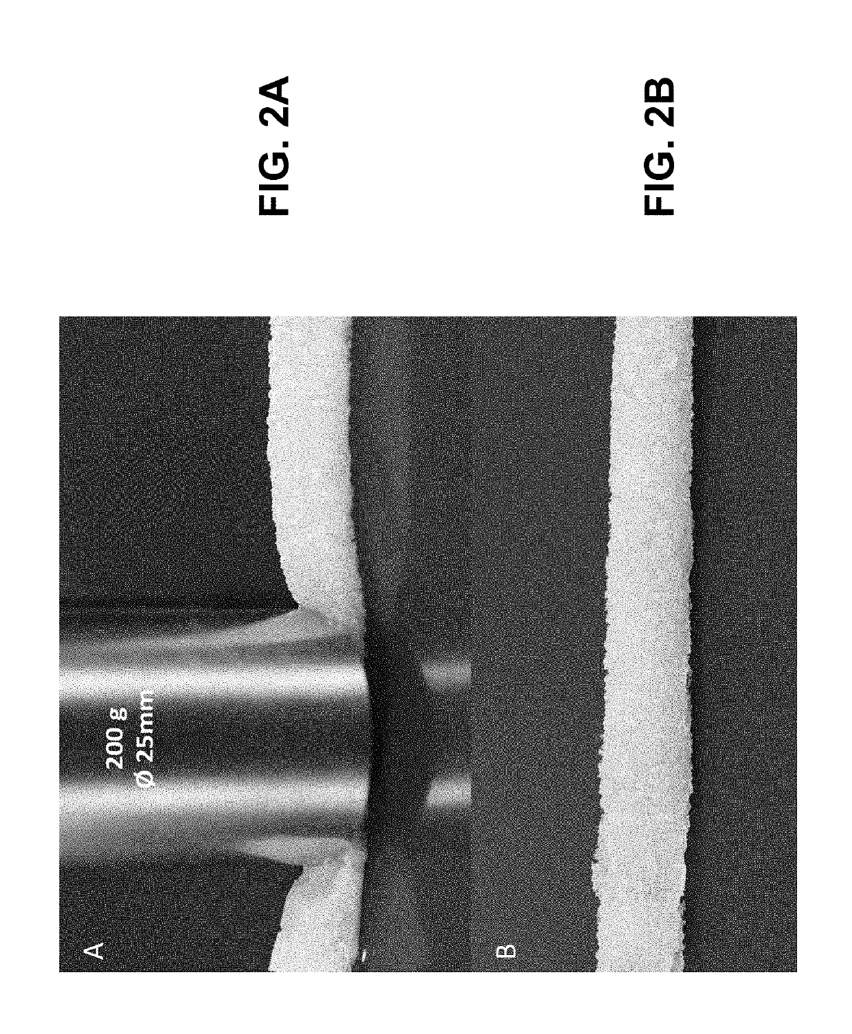 Medical material and method for preparing from biological tissue