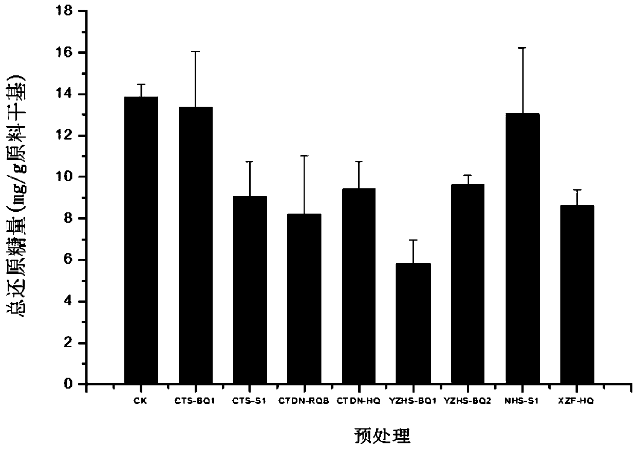 A strain of Bacillus that promotes the enzymatic hydrolysis of water hyacinth hydrangea to produce sugar and its application