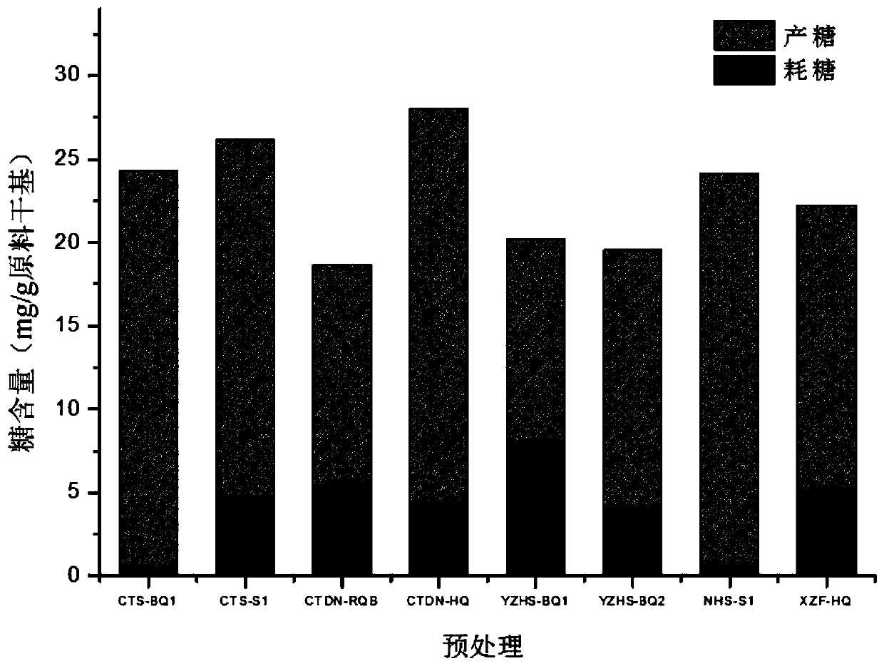 A strain of Bacillus that promotes the enzymatic hydrolysis of water hyacinth hydrangea to produce sugar and its application