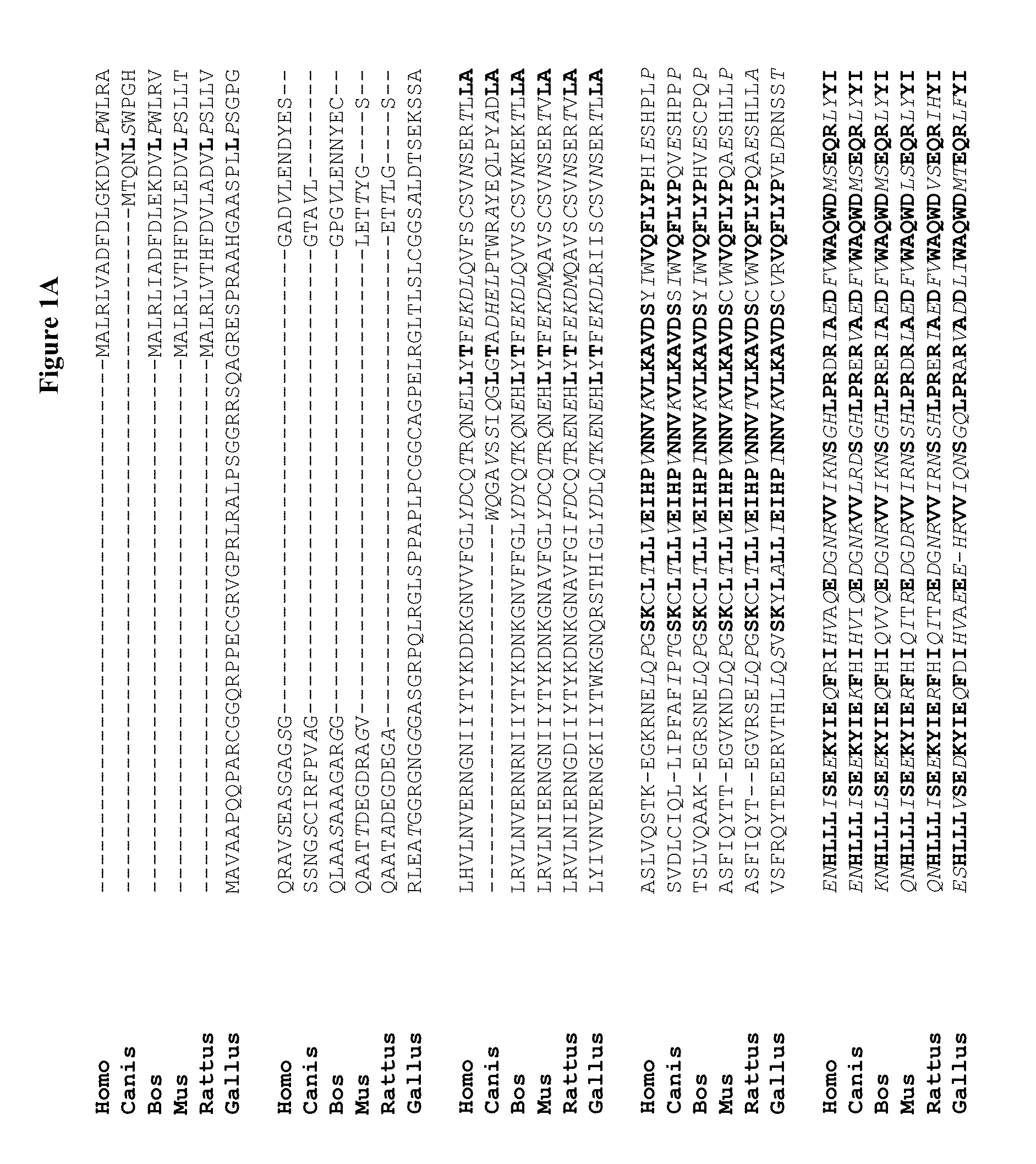 Novel regulatory proteins and inhibitors