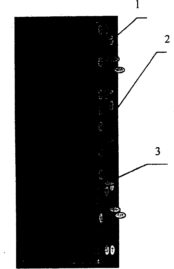Biological active material for realizing percutaneous device biological sealing and method for making same