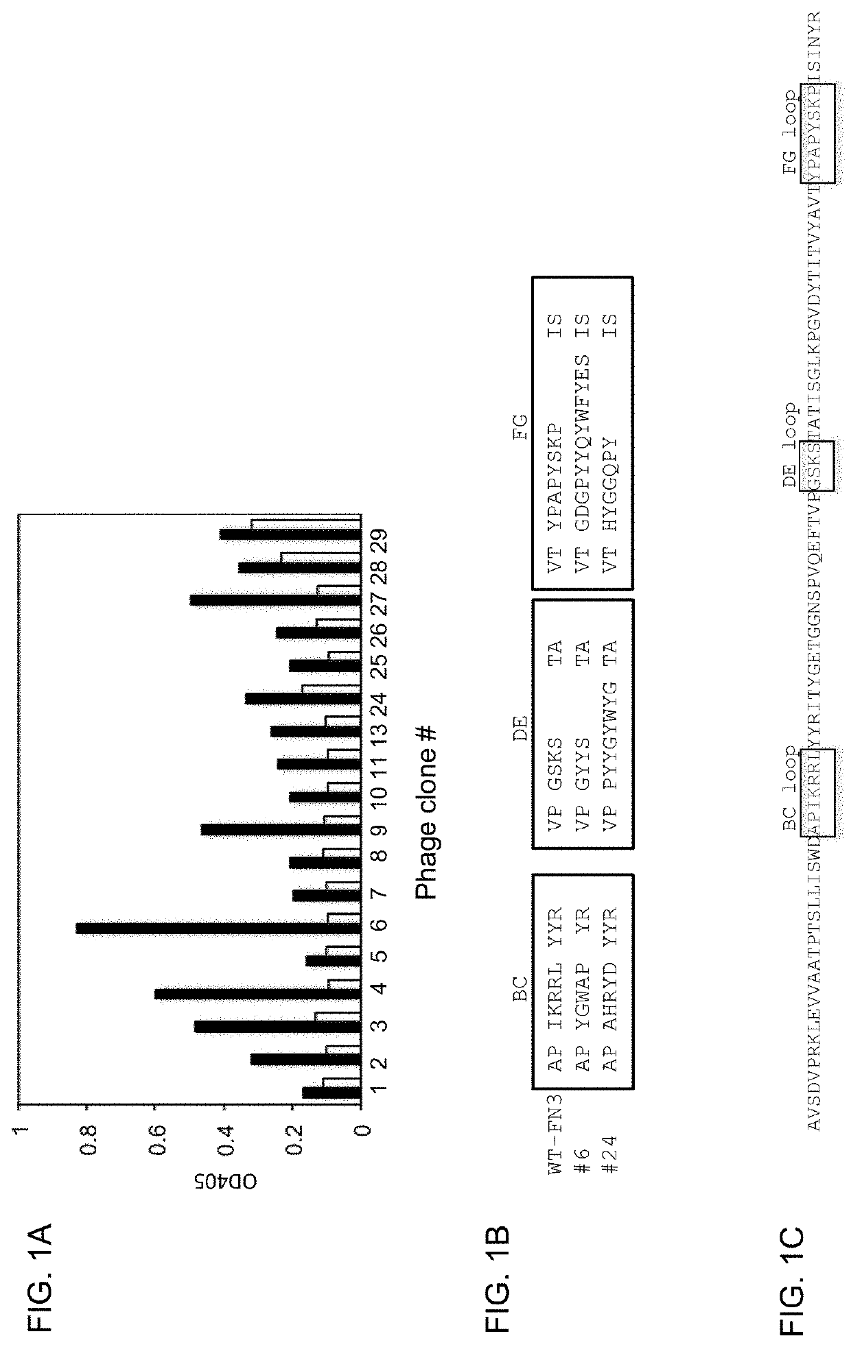 Antigen-specific reagents specific to active tgf-beta, methods of producing the same, and methods of use