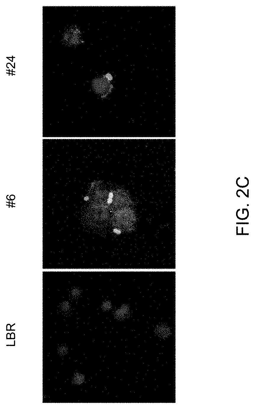 Antigen-specific reagents specific to active tgf-beta, methods of producing the same, and methods of use