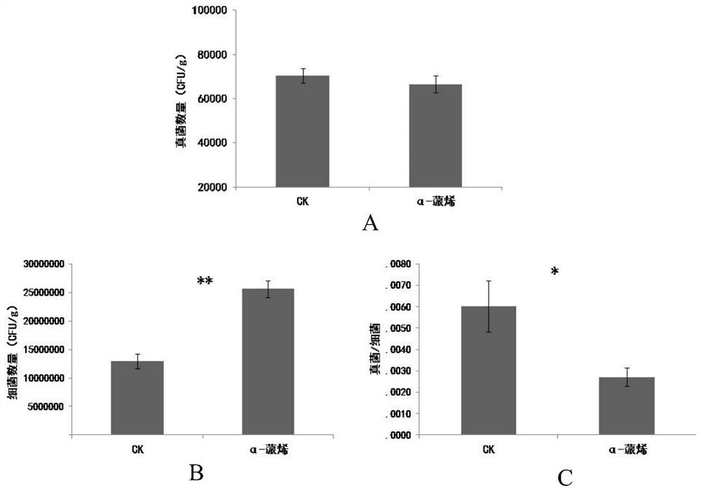 Application of enol substances in pine needles in aspects of regulating and controlling panax notoginseng rhizosphere microflora structure
