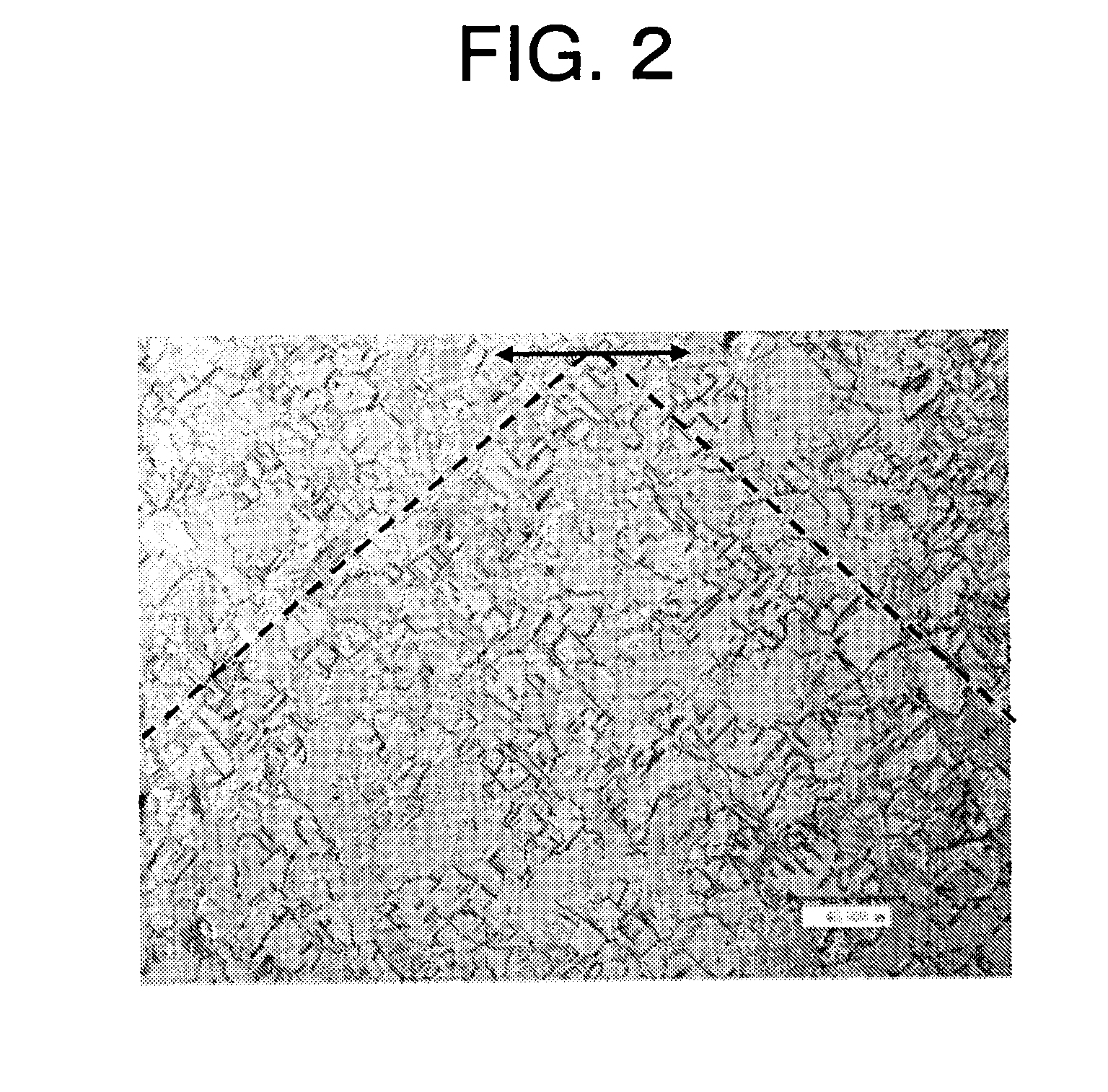 Copper alloy sheet and method for producing same
