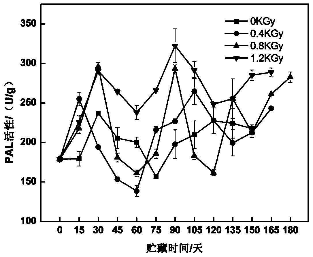 Method for preventing and treating penicilliosis of kiwi fruits by virtue of high-energy electron beam radiation