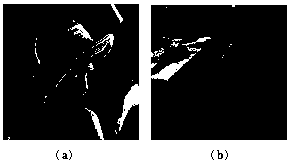 variable step size color image blind watermarking method based on matrix Schur decomposition