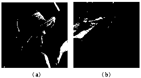 variable step size color image blind watermarking method based on matrix Schur decomposition