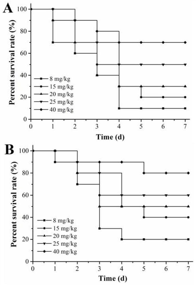 Anti-respiratory tract positive bacterium infection composition for livestock and poultry and application thereof