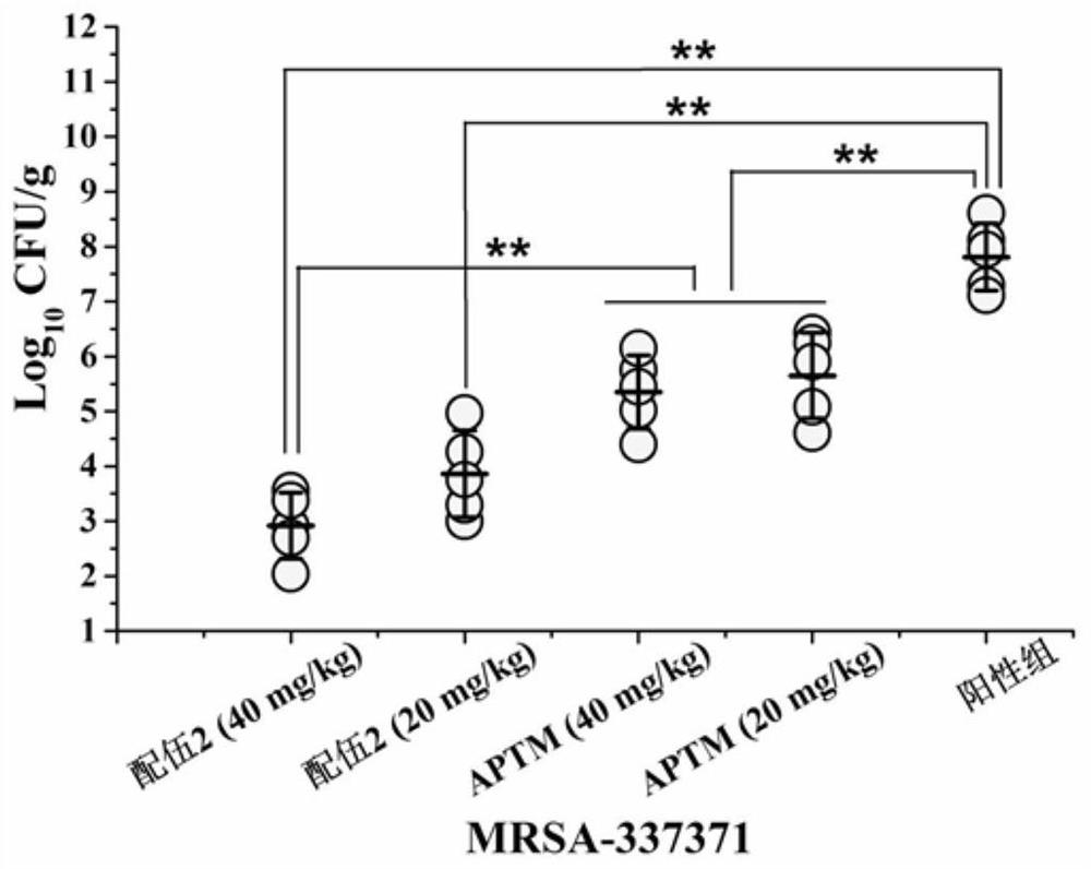 Anti-respiratory tract positive bacterium infection composition for livestock and poultry and application thereof