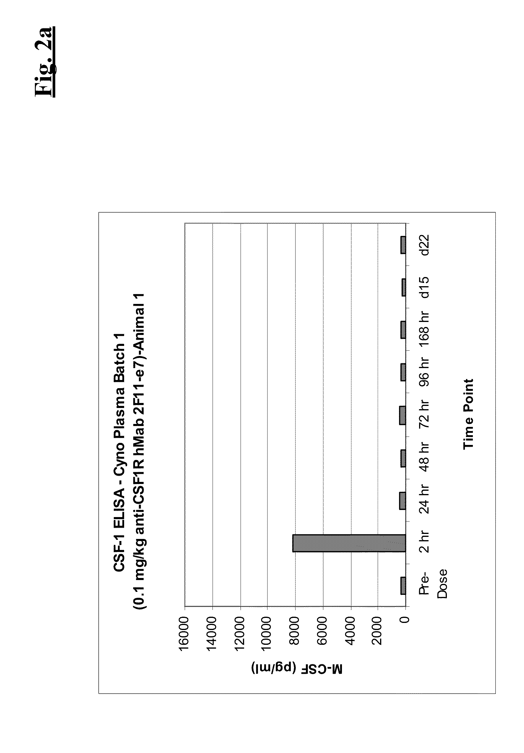 Combination therapy of antibodies against human CSF-1R and antibodies agains human PD-L1