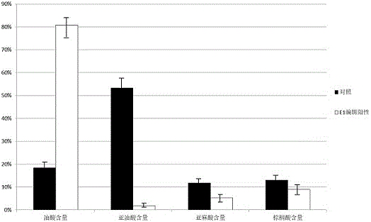 Method for gene editing in soybean by using Cas12i