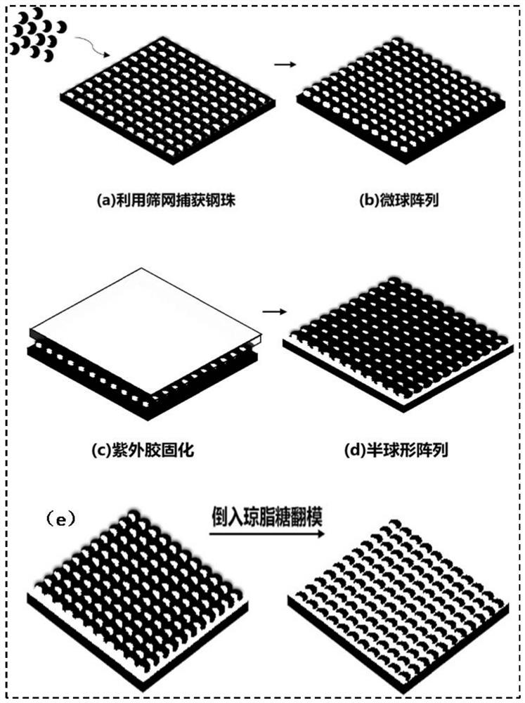 Hemispherical micropore array substrate for three-dimensional cell sphere culture and preparation method of hemispherical micropore array substrate