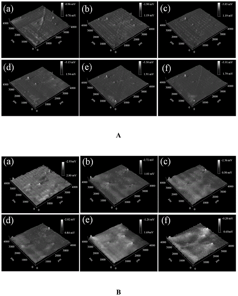 Magnesium or magnesium alloy surface treatment method capable of controlling degradation speed