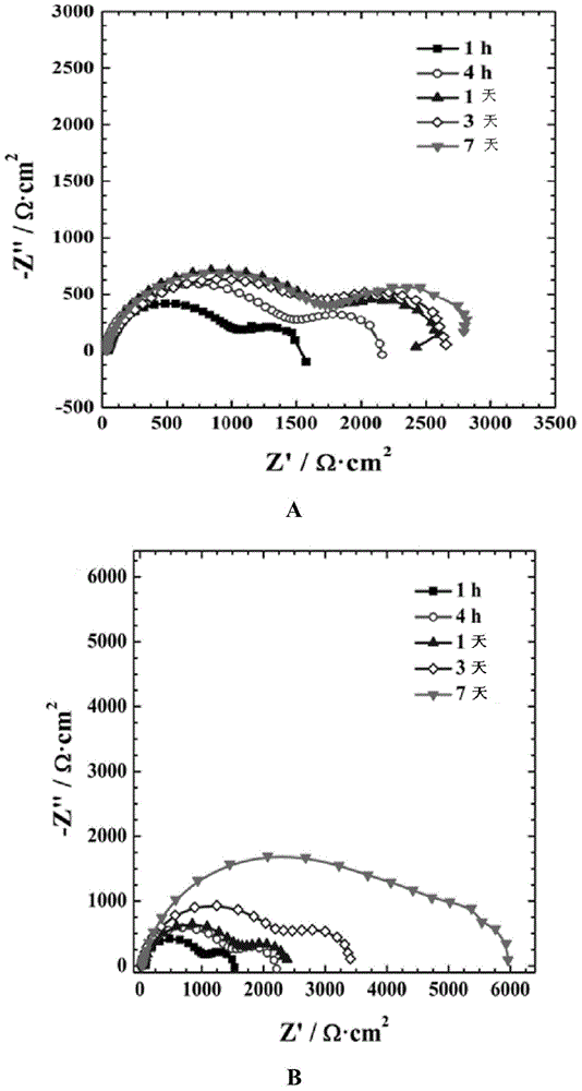 Magnesium or magnesium alloy surface treatment method capable of controlling degradation speed