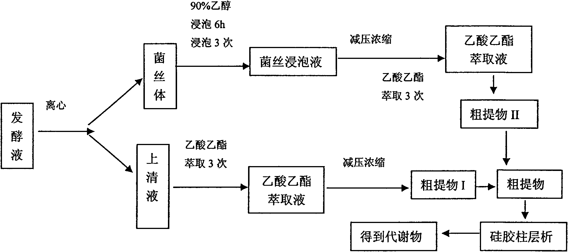 Method for preparing marine actinomyces and metabolite thereof and application