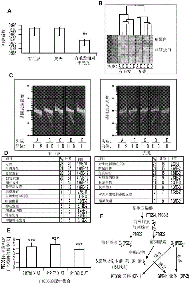 Compositions and methods for regulating hair growth