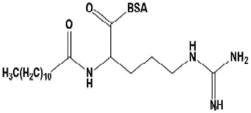 l-Lauramide arginine hydrochloride ethanol ester artificial antigen, preparation method of specific antibody and use thereof