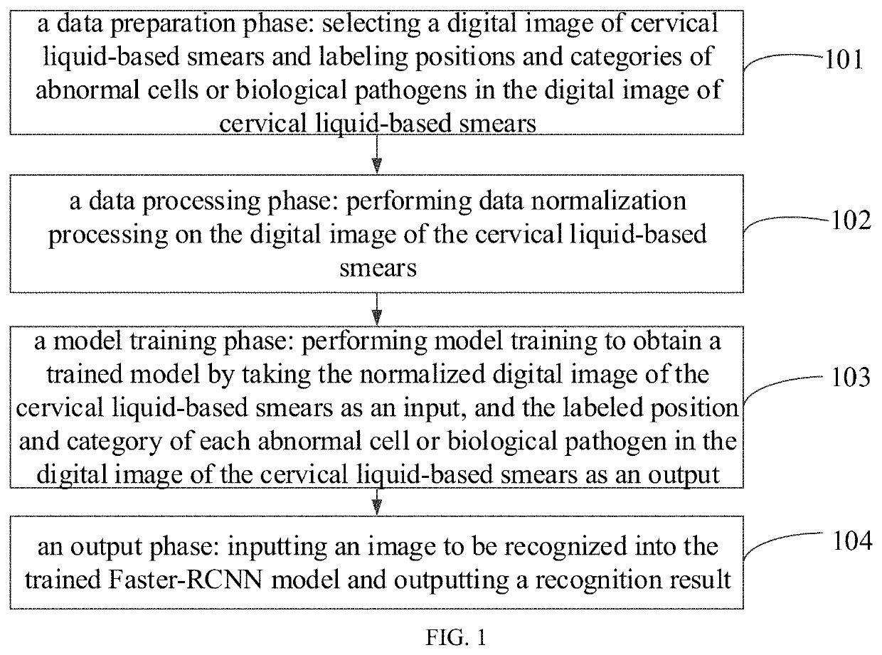 Digital image classification method for cervical fluid-based cells based on a deep learning detection model