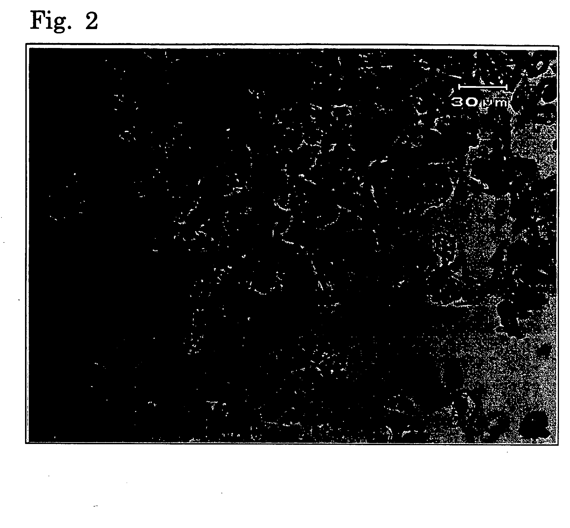 Crystals of non-natural-type stereoisomer salt of monatin and use thereof