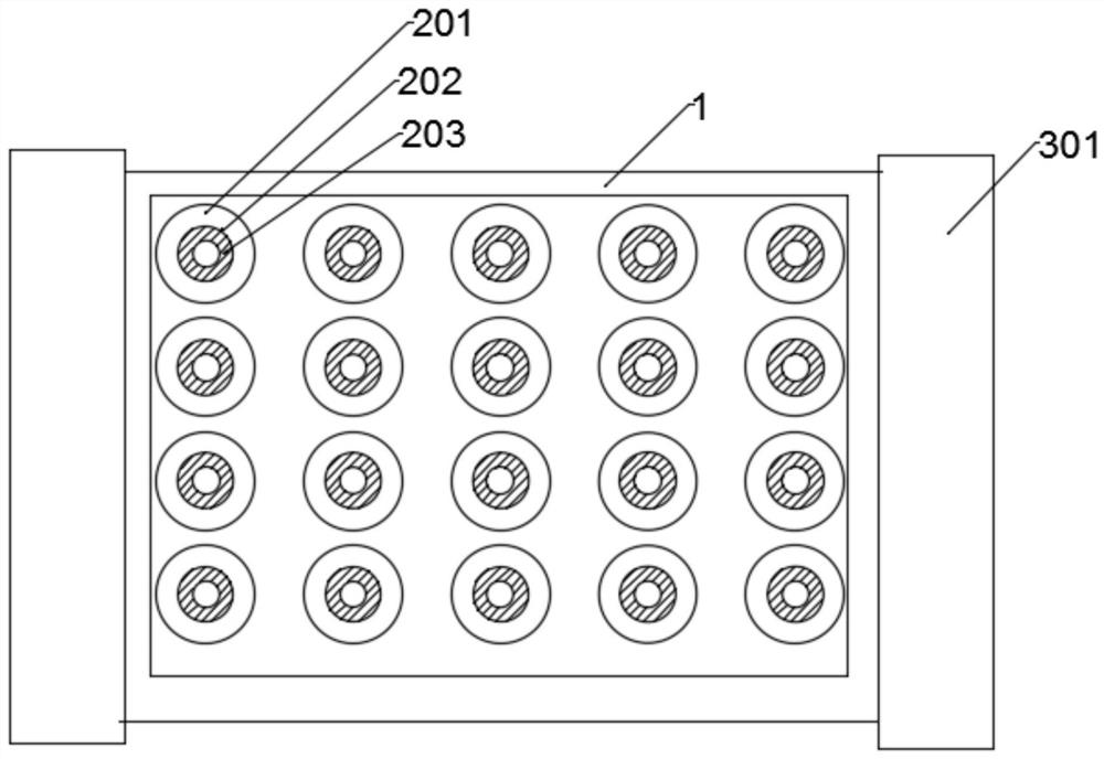 Preparation device and method of essence for repair mask