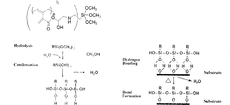 Moisture cured multi-constituties grafting solvent-based adhesive