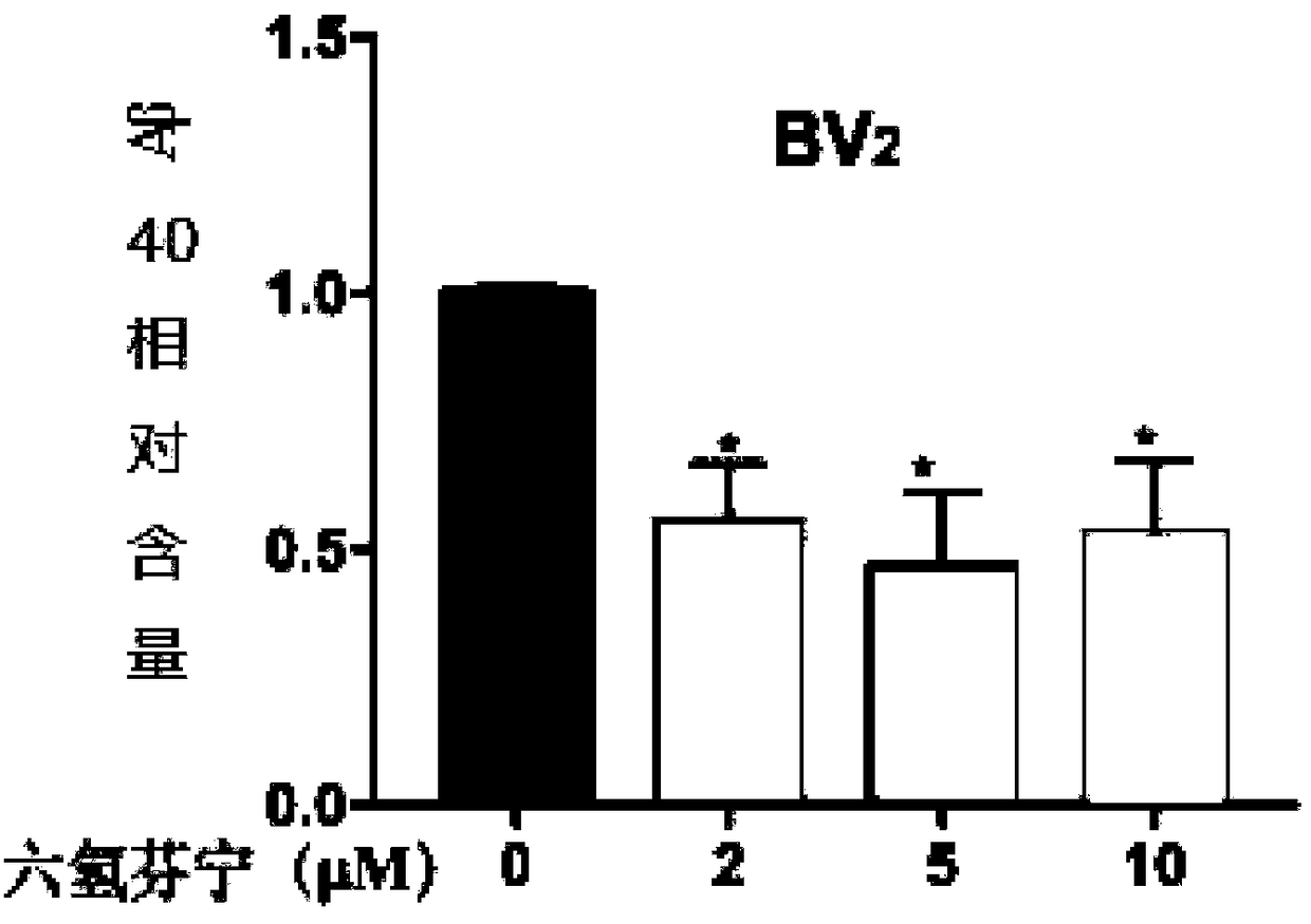 Application of hexahydroadiphenine and pharmaceutically acceptable salts thereof in preparation of medicines for treating Alzheimer disease