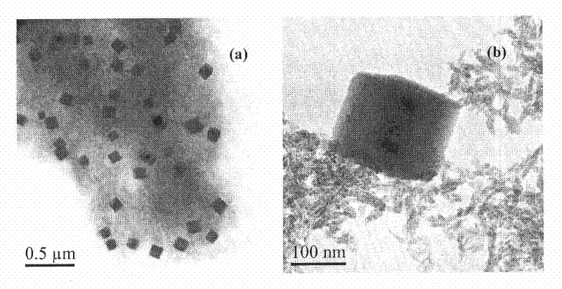 Cubic copper oxide nanoparticles and its synthesis method and use