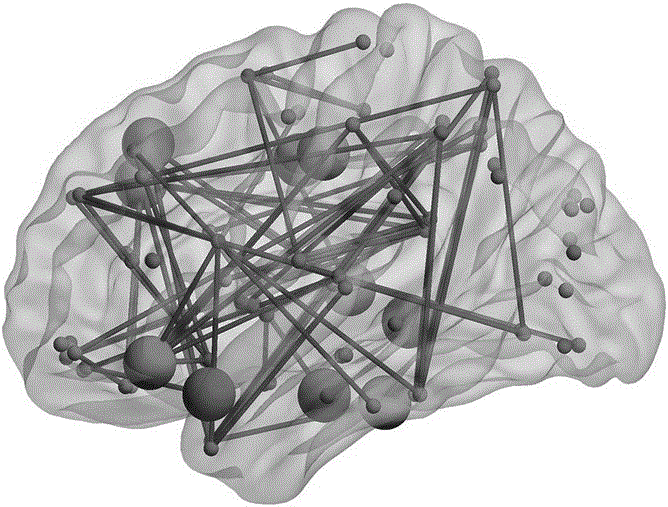 Principal component analysis-based key encephalic region measurement method