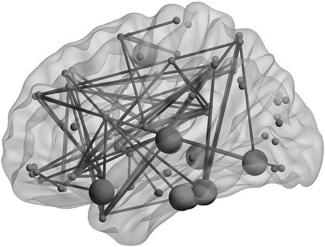 Principal component analysis-based key encephalic region measurement method