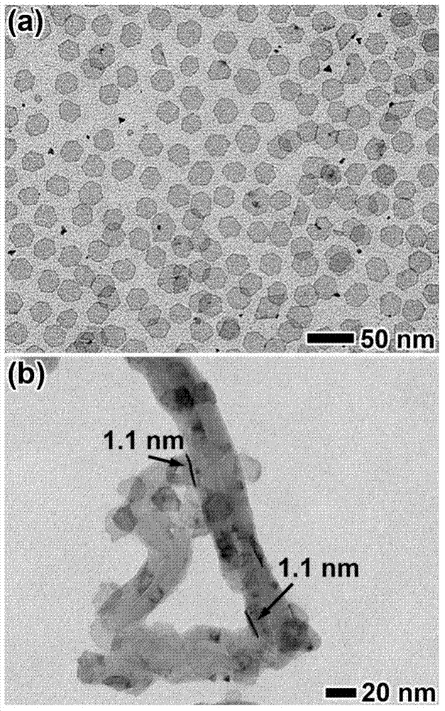 Two-dimensional hollow palladium nanocrystal and preparation method thereof
