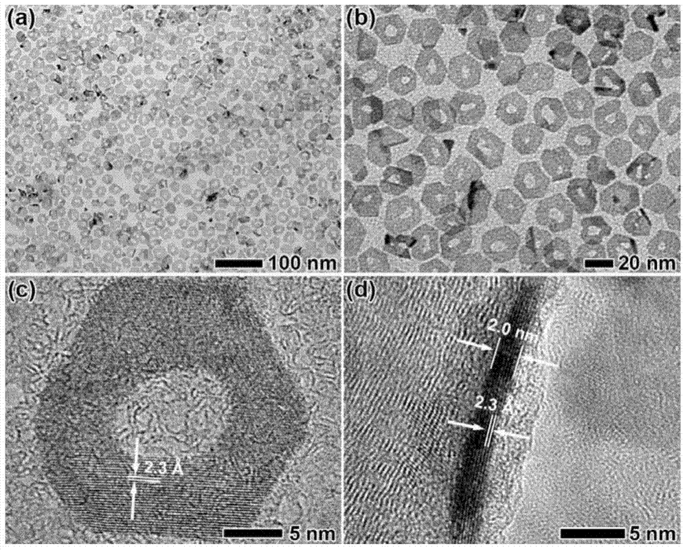 Two-dimensional hollow palladium nanocrystal and preparation method thereof