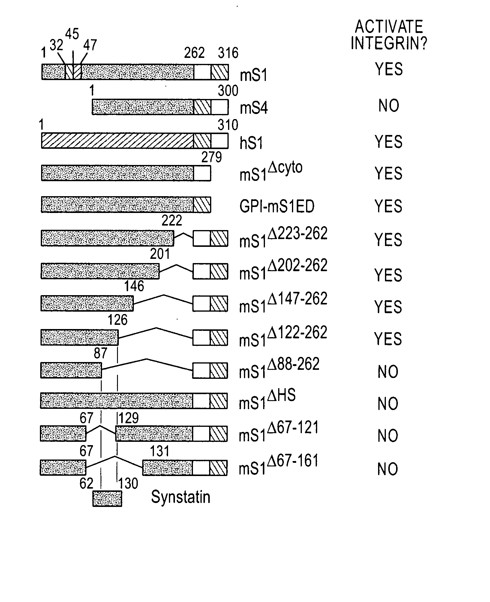 Peptides of Syndecan-1 For Inhibiting Angiogenesis