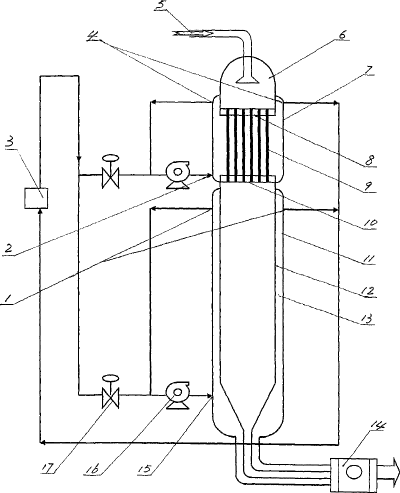 Heating system for caprolactam polymerization reaction apparatus