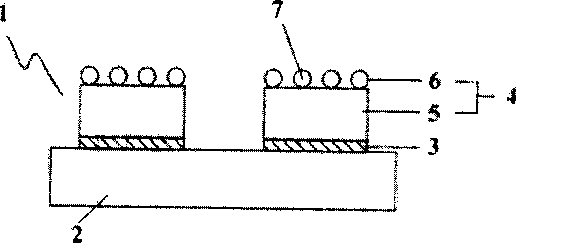 Microelectronic element with elastic conductive projection and method of manufacture