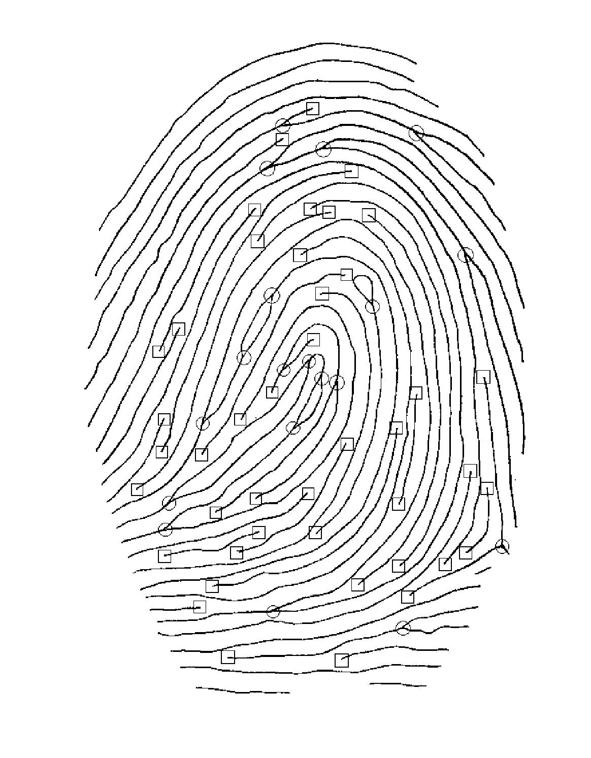 Fingerprint enrolment algorithm