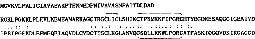 Luciferase active fragment and application thereof