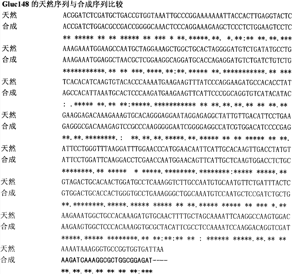 Luciferase active fragment and application thereof