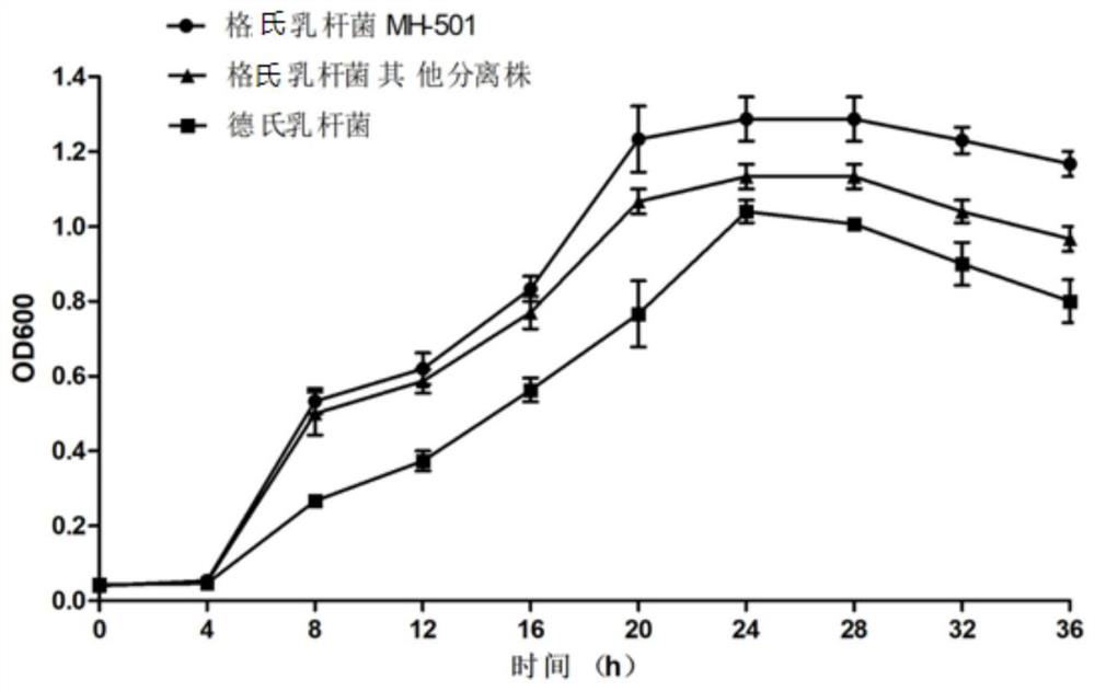 Lactobacillus gasseri for preventing and treating urogenital infection and application thereof