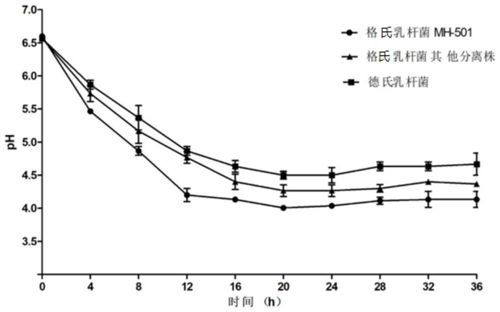 Lactobacillus gasseri for preventing and treating urogenital infection and application thereof