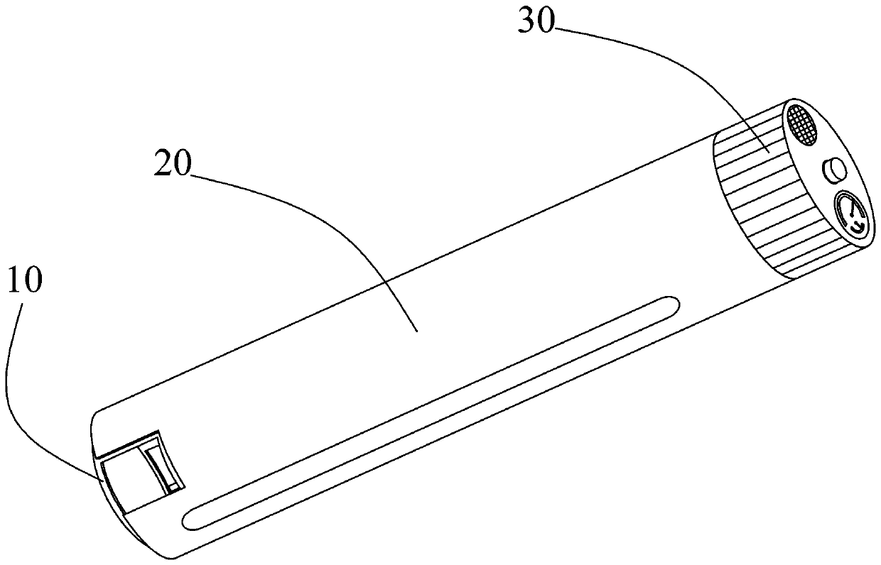 Cricket inhabiting pipe