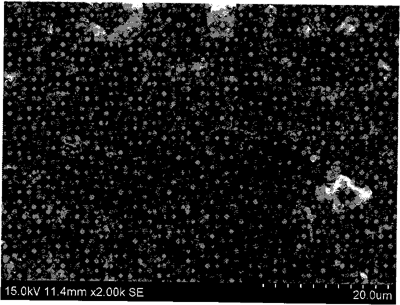 Method for producing microcrystalling foam glass with gold tail ore