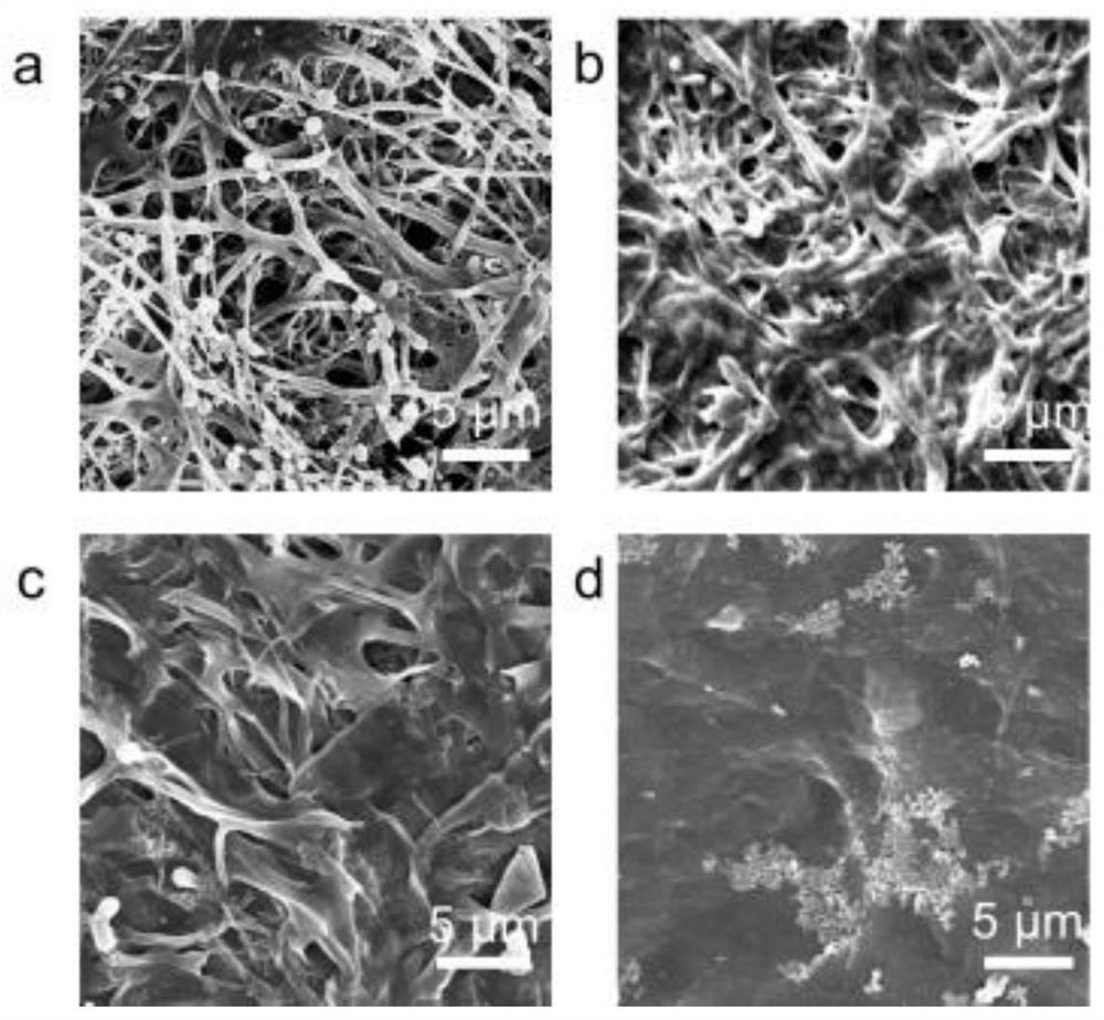 A kind of calcium alginate composite filter membrane, its preparation method and application