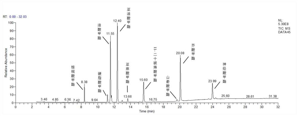 Method for preparing high-quality acer truncatum seed oil by supercritical CO2 extraction of unshelled acer truncatum seeds