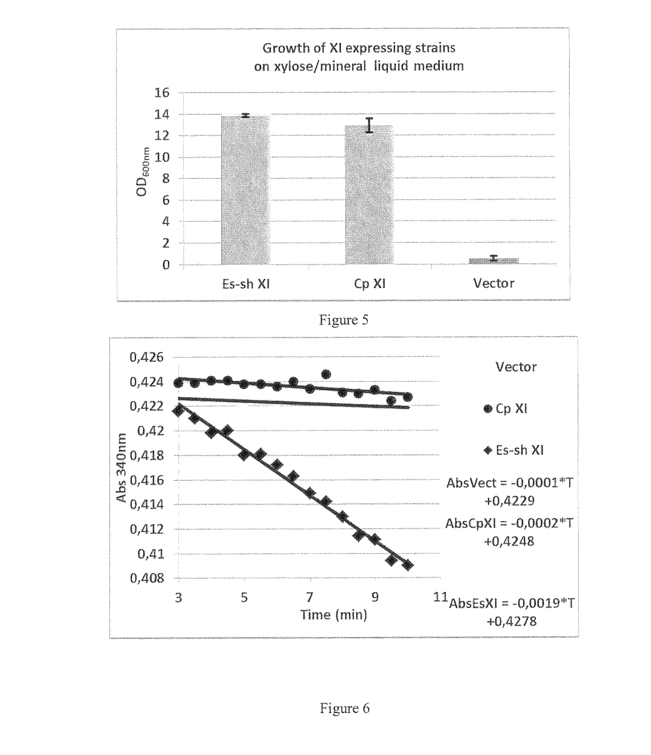 Pentose fermenting microorganisms