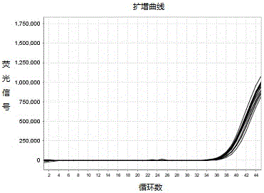 A detection kit for mycobacterium tuberculosis (tb) nucleic acid