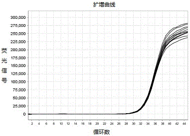 A detection kit for mycobacterium tuberculosis (tb) nucleic acid